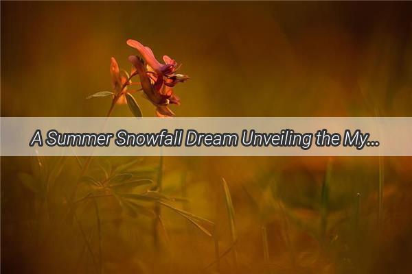 A Summer Snowfall Dream Unveiling the Mysterious Beauty of a Frigid Night